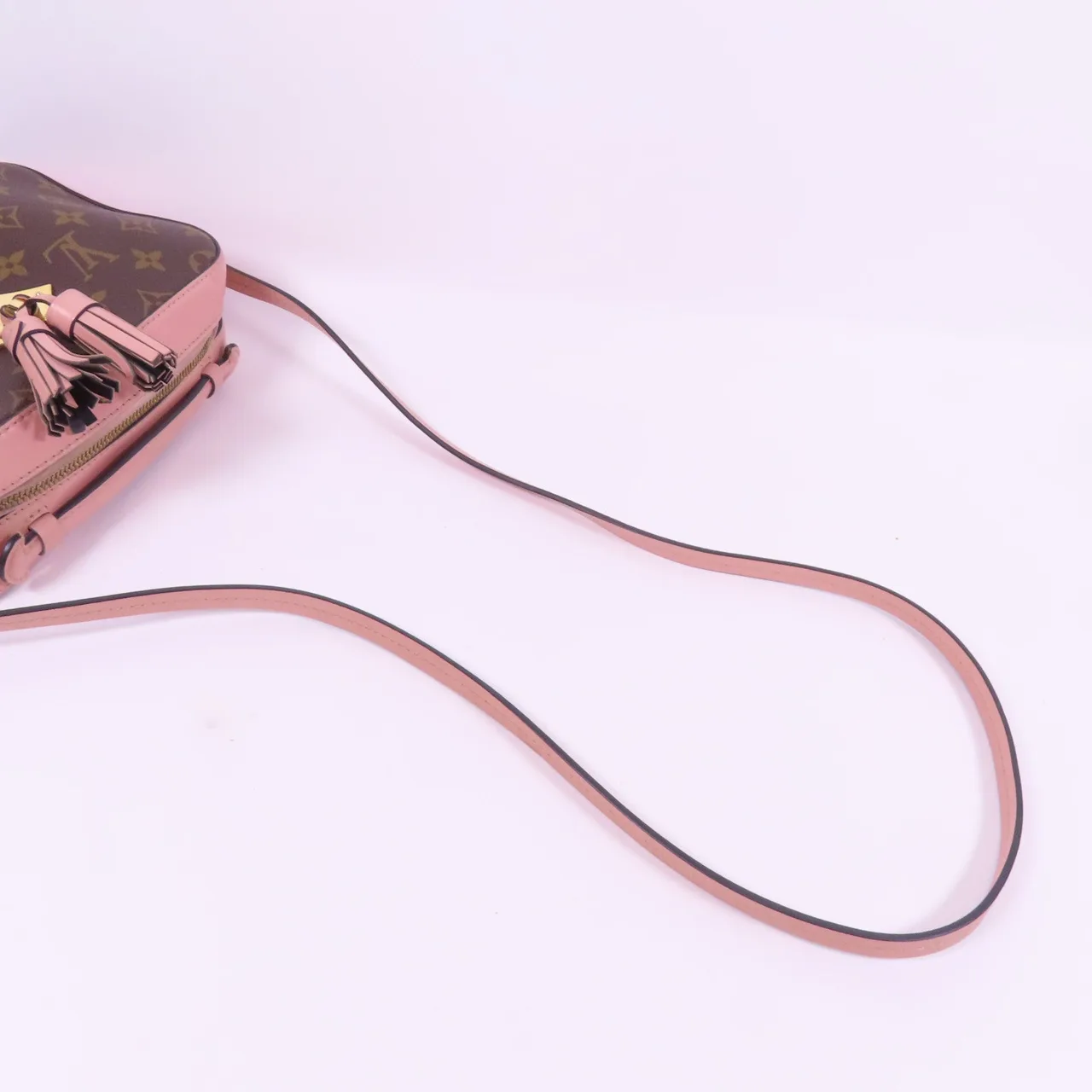 LOUIS VUITTON Saintonge M44442 兩用包 塗層帆布 棕色 / 粉色 / Brown/Pink 塗層帆布 中古品A - 縮圖 5