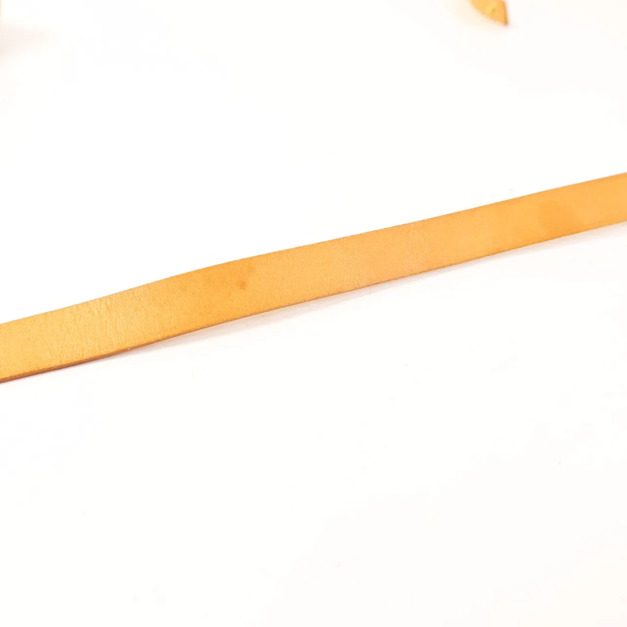 LOUIS VUITTON Pochette Florentine M51855 腰包 塗層帆布 棕色 / Brown 塗層帆布 中古品A - 縮圖 19