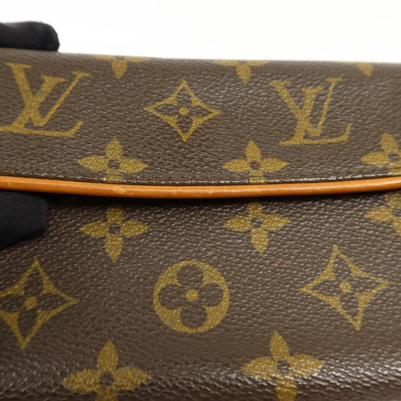 LOUIS VUITTON Pochette Florentine M51855 腰包 塗層帆布 棕色 / Brown 塗層帆布 中古品A - 縮圖 22