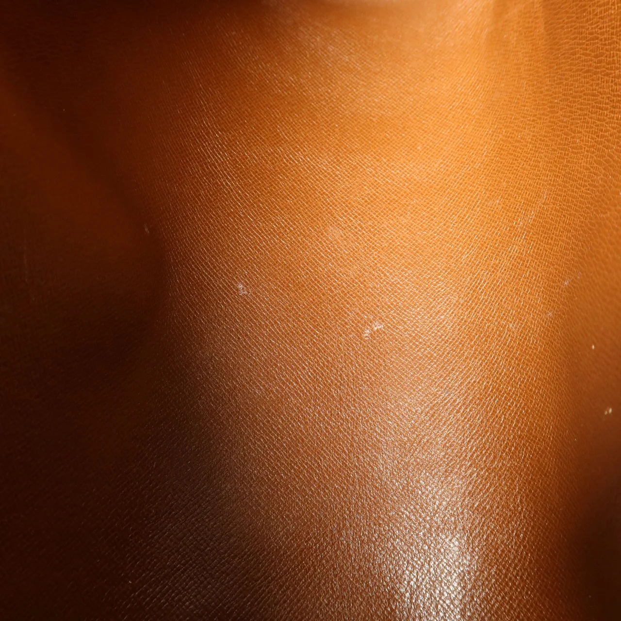 LOUIS VUITTON Papillon M51365 手提包 塗層帆布 棕色 / Brown 塗層帆布 中古品B - 縮圖 21