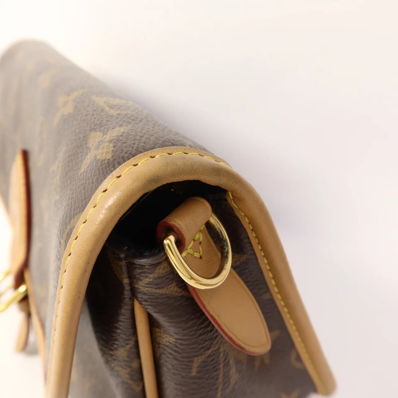 LOUIS VUITTON Diane M45985 兩用包 塗層帆布 棕色 / Brown 塗層帆布 中古品B - 縮圖 19