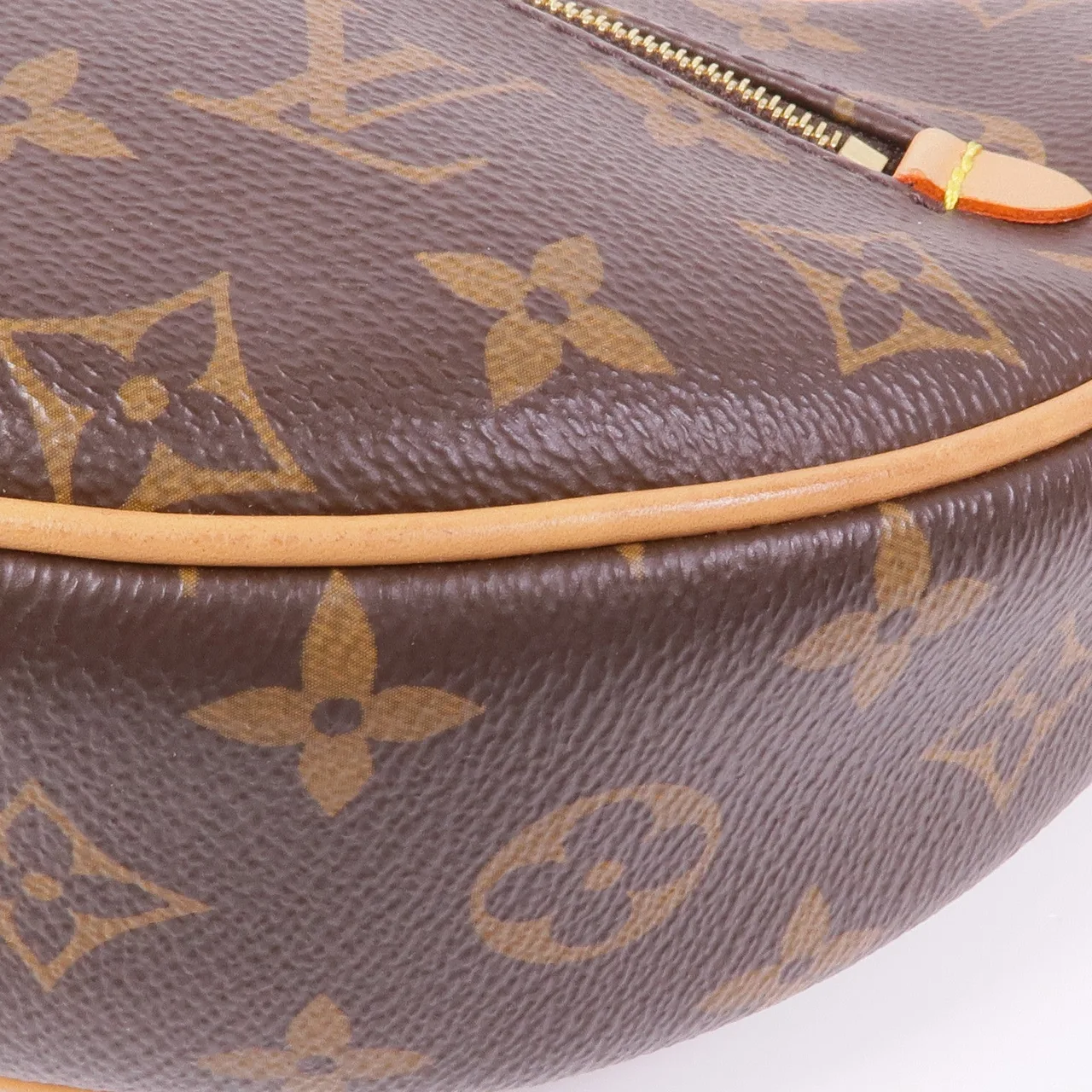 LOUIS VUITTON Loop M81098 兩用包 塗層帆布 棕色 / Brown 塗層帆布 中古品A - 縮圖 5