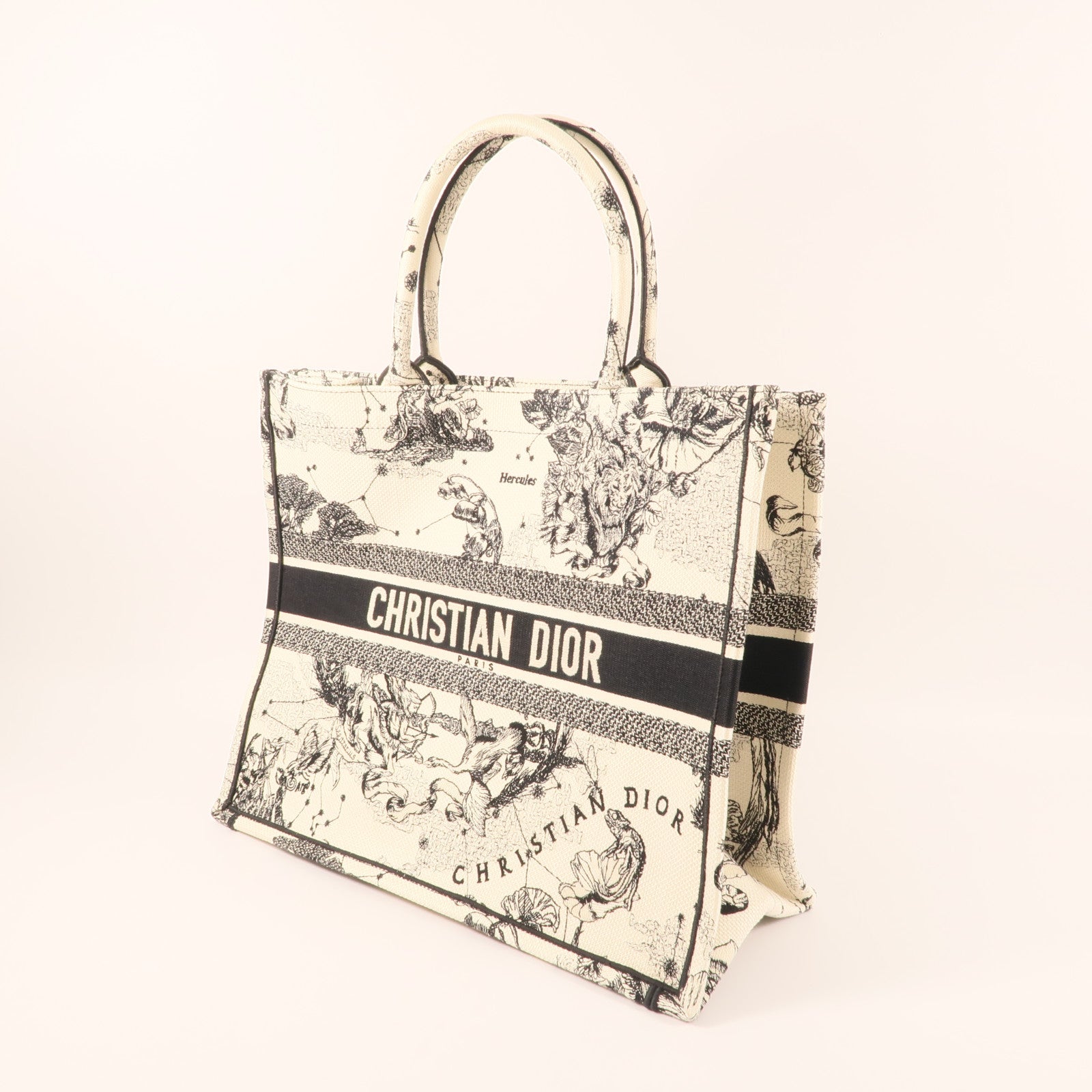 LOUIS VUITTON 肩背包 帆布 3