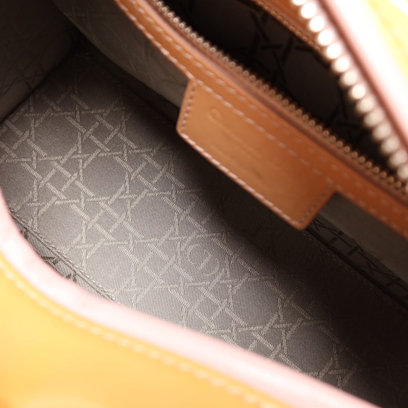 LOUIS VUITTON 兩用包 皮革 5