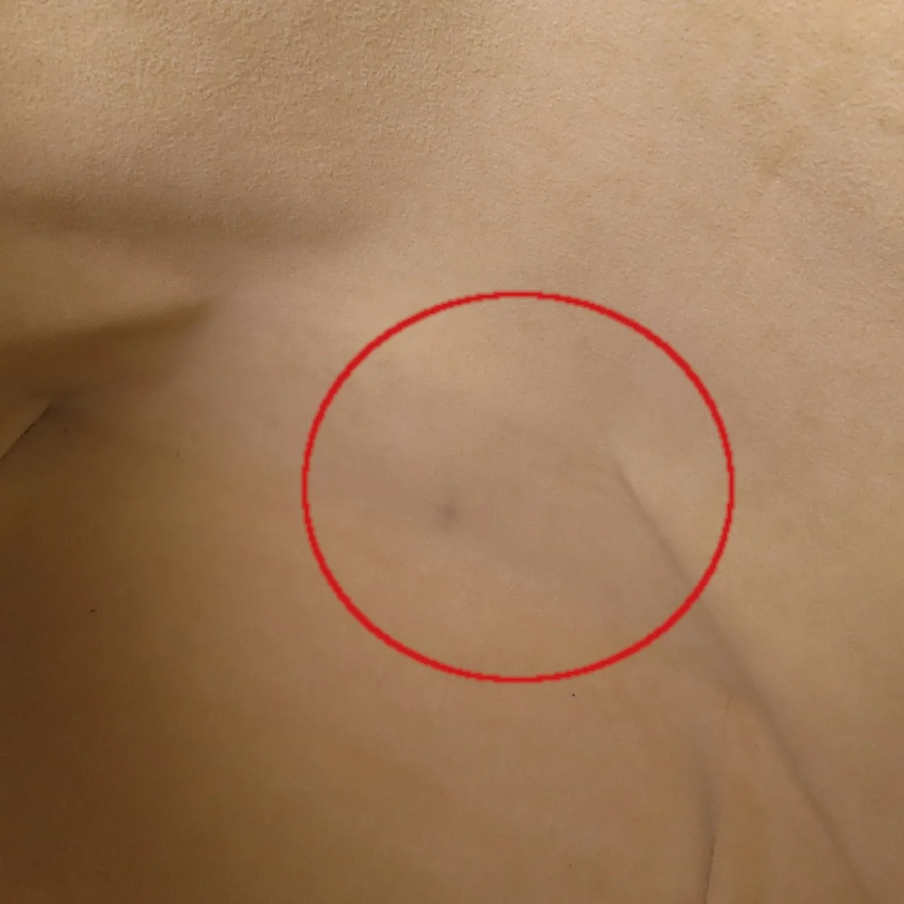 LOUIS VUITTON Saleya N51186 手提包 塗層帆布 白色 / White 塗層帆布 中古品B - 縮圖 17