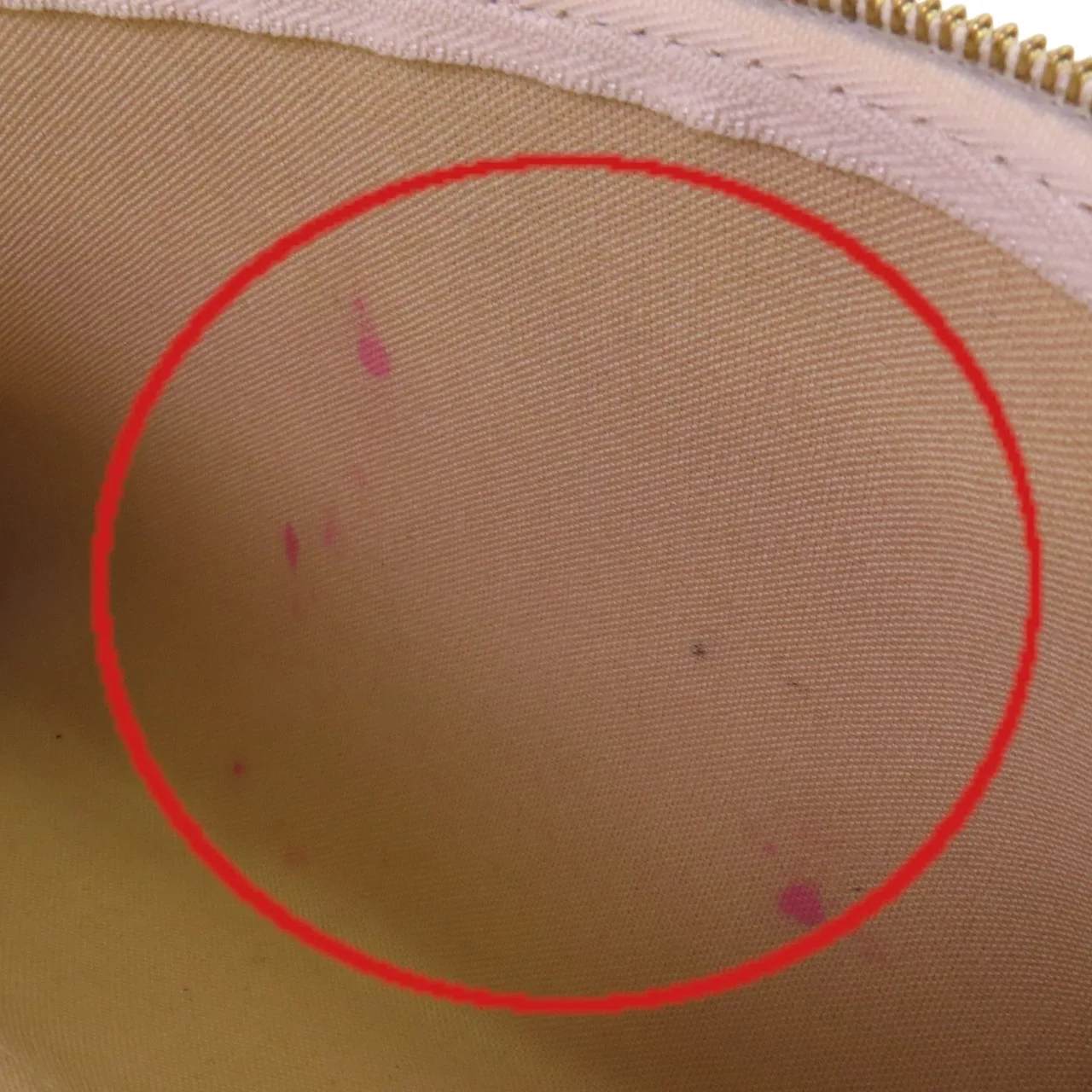 LOUIS VUITTON Eva N55214 2-Way Bag Coated Canvas 白色 / White Coated Canvas Rank B - Thumbnail 15