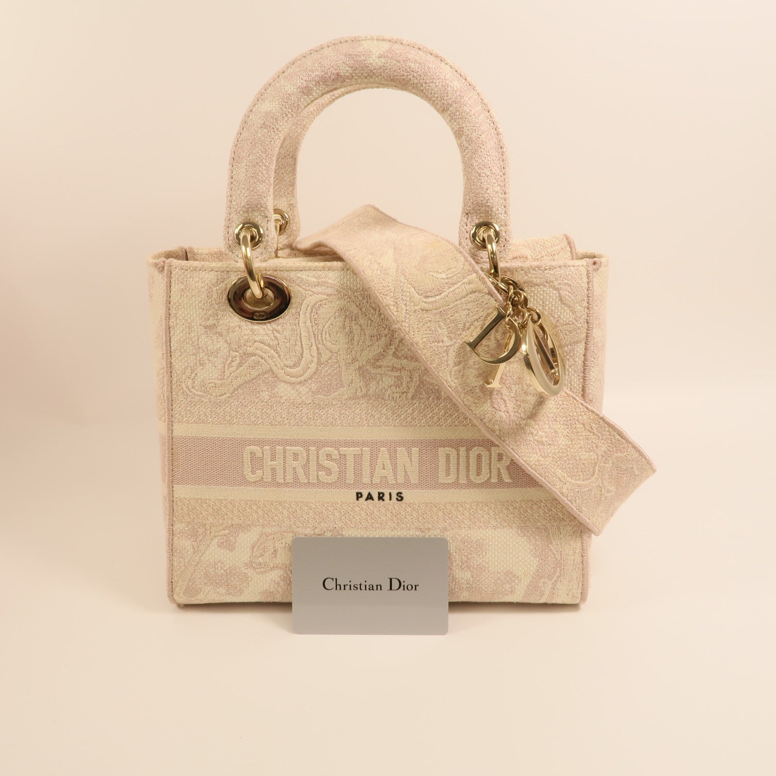 LOUIS VUITTON 2-Way Bag Canvas 11