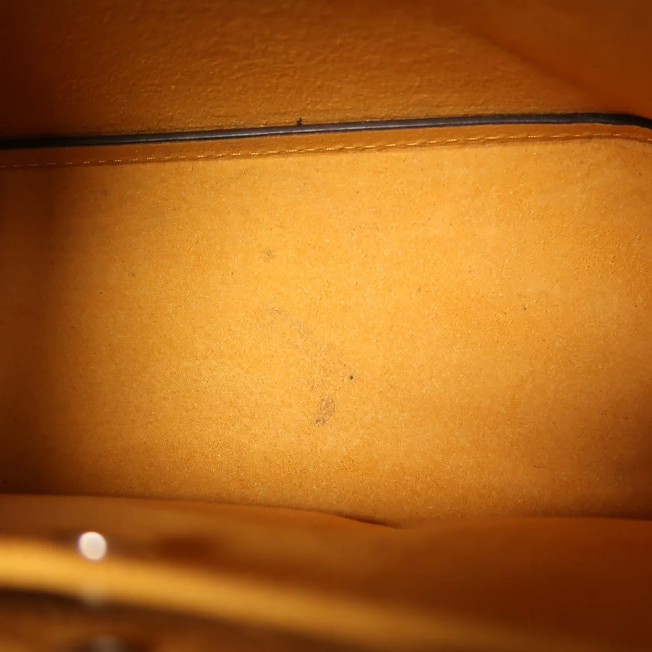 LOUIS VUITTON NeoNoe M53610 兩用包 牛皮 海軍藍 / 黃色 / Blue 牛皮 中古品B - 縮圖 14