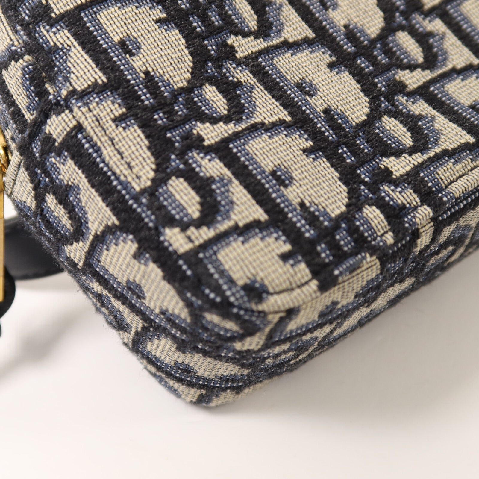 LOUIS VUITTON Belt Bag Canvas 10