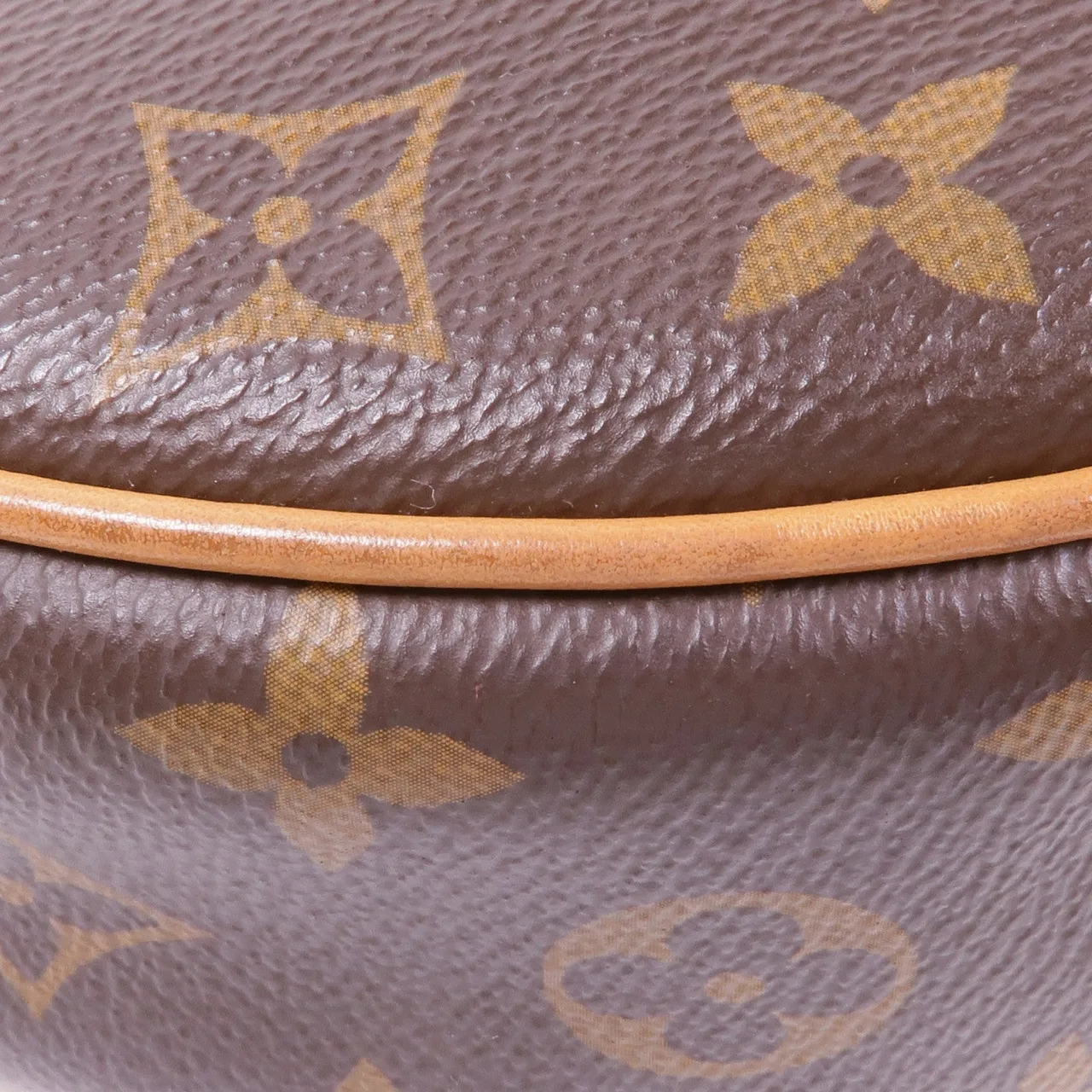 LOUIS VUITTON Loop M81098 兩用包 塗層帆布 棕色 / Brown 塗層帆布 中古品B - 縮圖 9