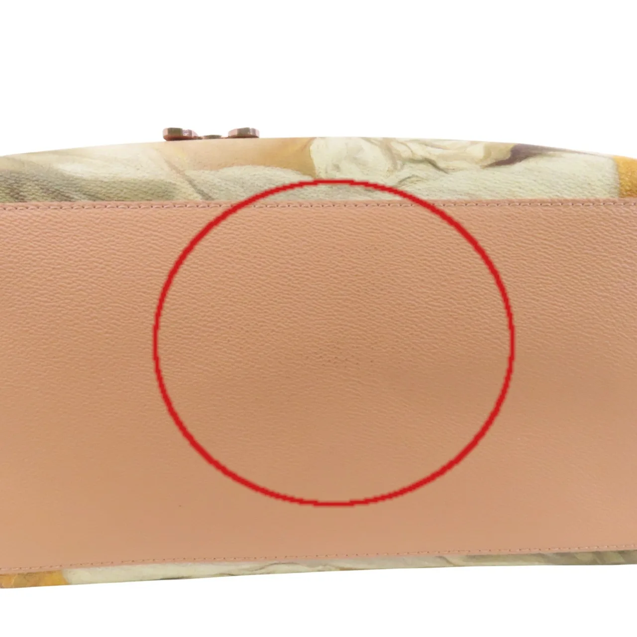 LOUIS VUITTON Speedy M43307 托特包 牛皮 粉色 / 多種顏色 / Pink 牛皮 中古品C - 縮圖 16