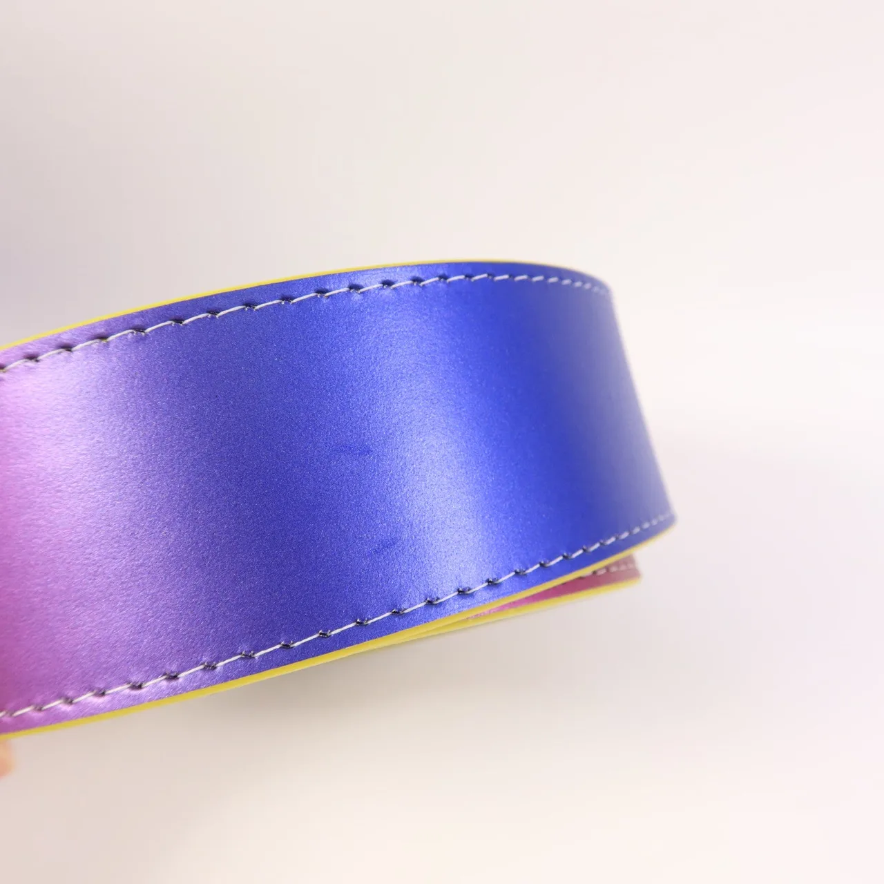 LOUIS VUITTON Capucines M21336 兩用包 牛皮 多種顏色 / Multicolor 牛皮 中古品A - 縮圖 19