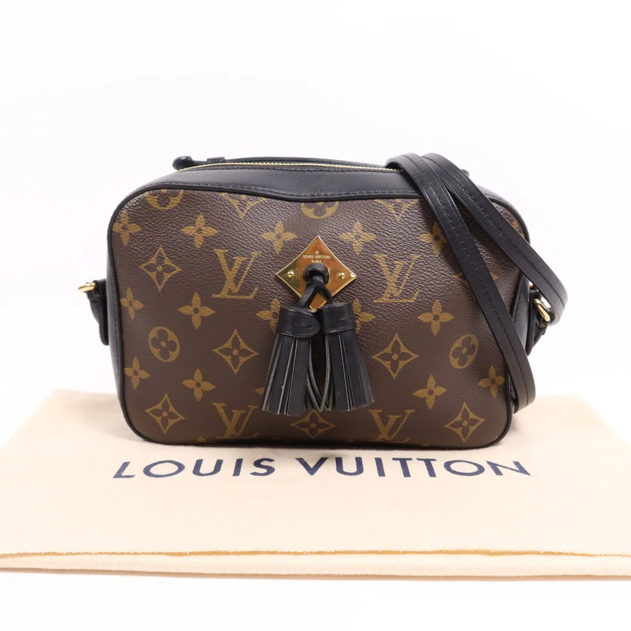 LOUIS VUITTON Saintonge M43555 兩用包 塗層帆布 棕色 塗層帆布 中古品B - 縮圖 16