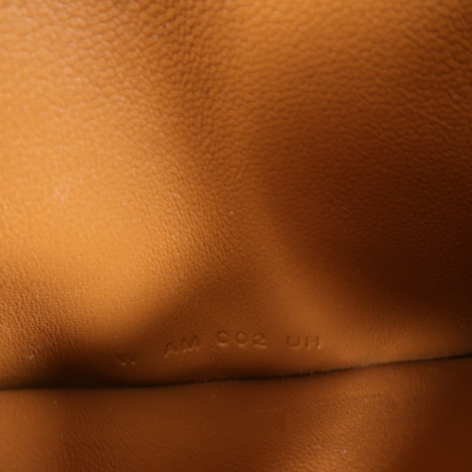 LOUIS VUITTON Loop 腰包 牛皮 7