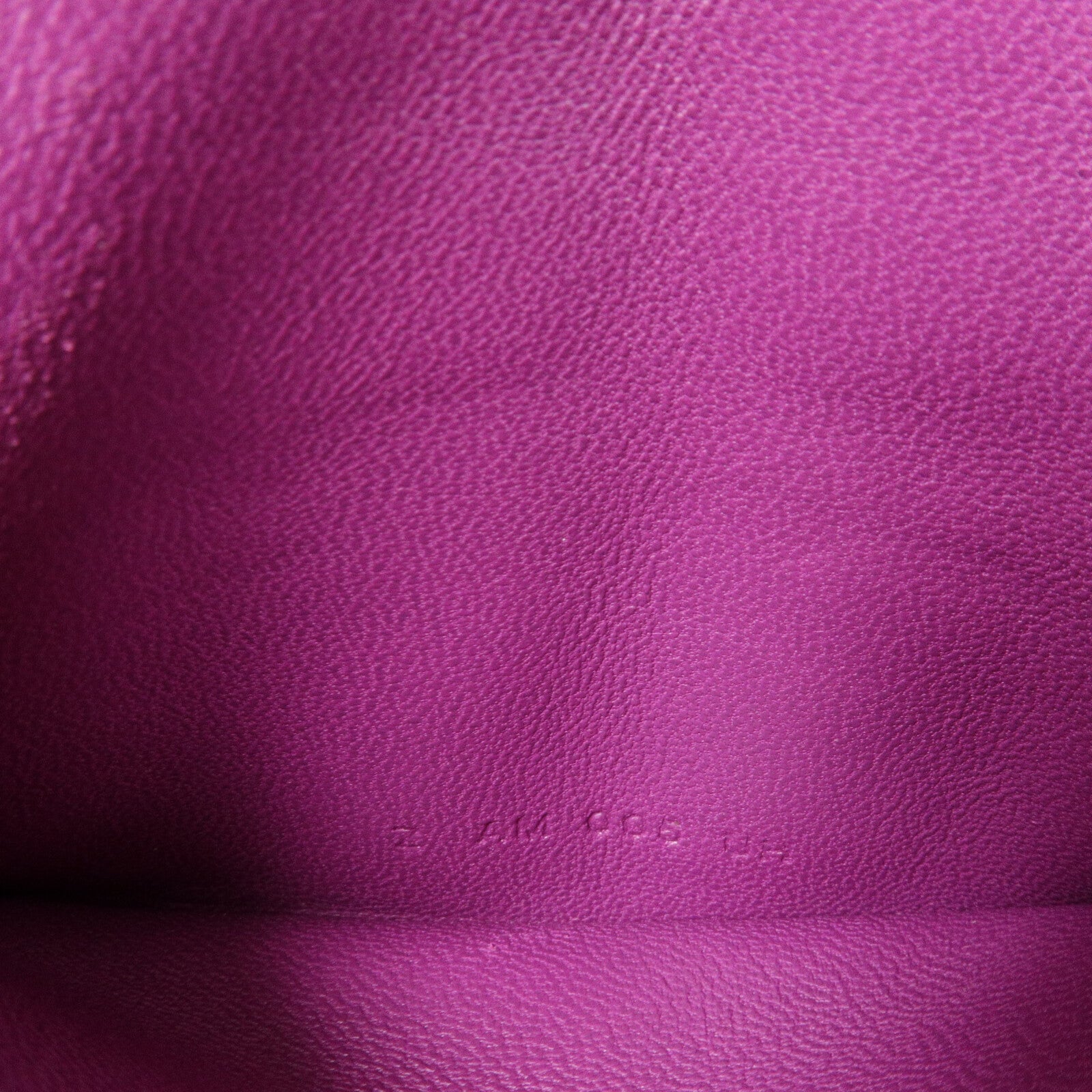 LOUIS VUITTON Loop Belt Bag Calfskin 7