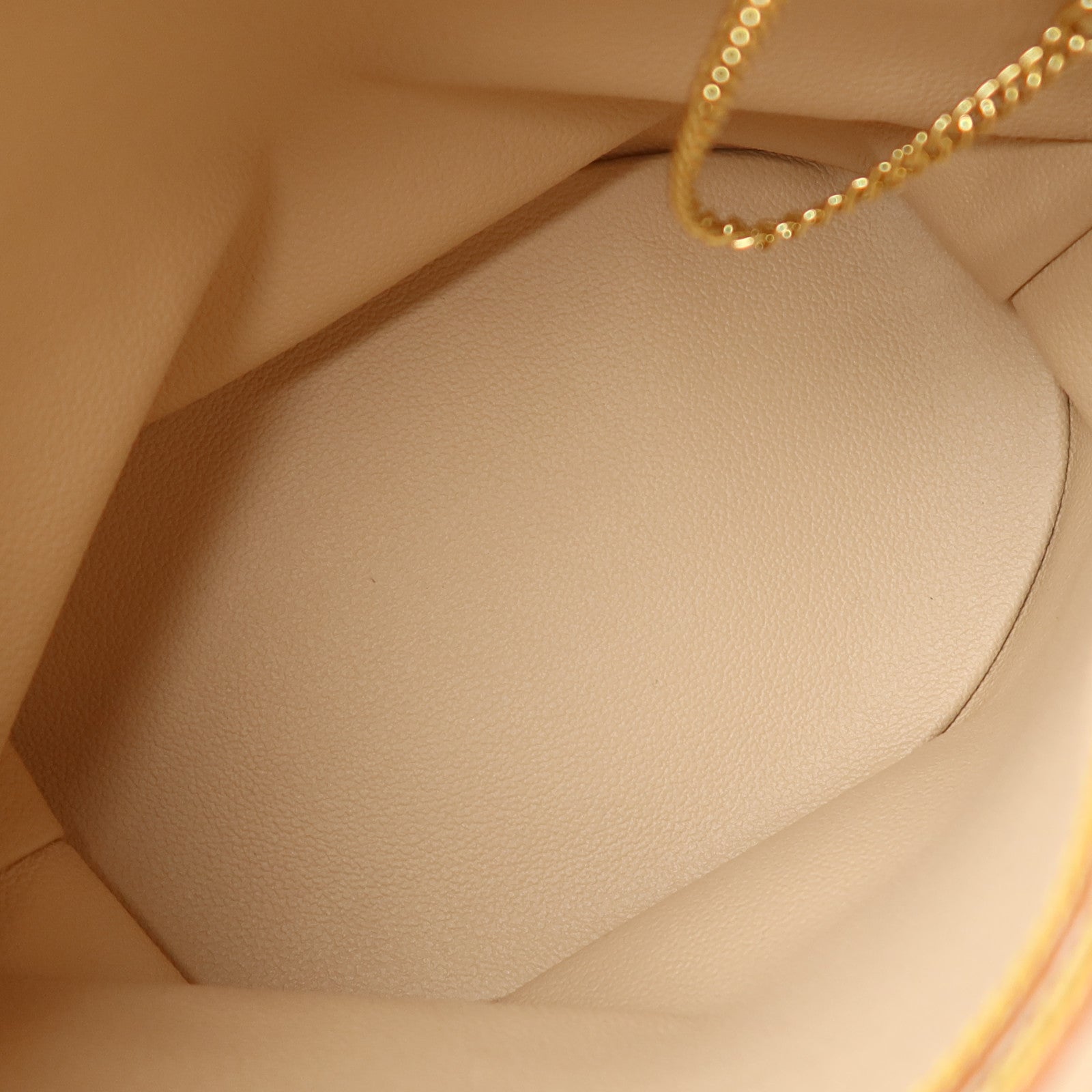 LOUIS VUITTON Bucket M42238 Tote Bag Coated Canvas 5