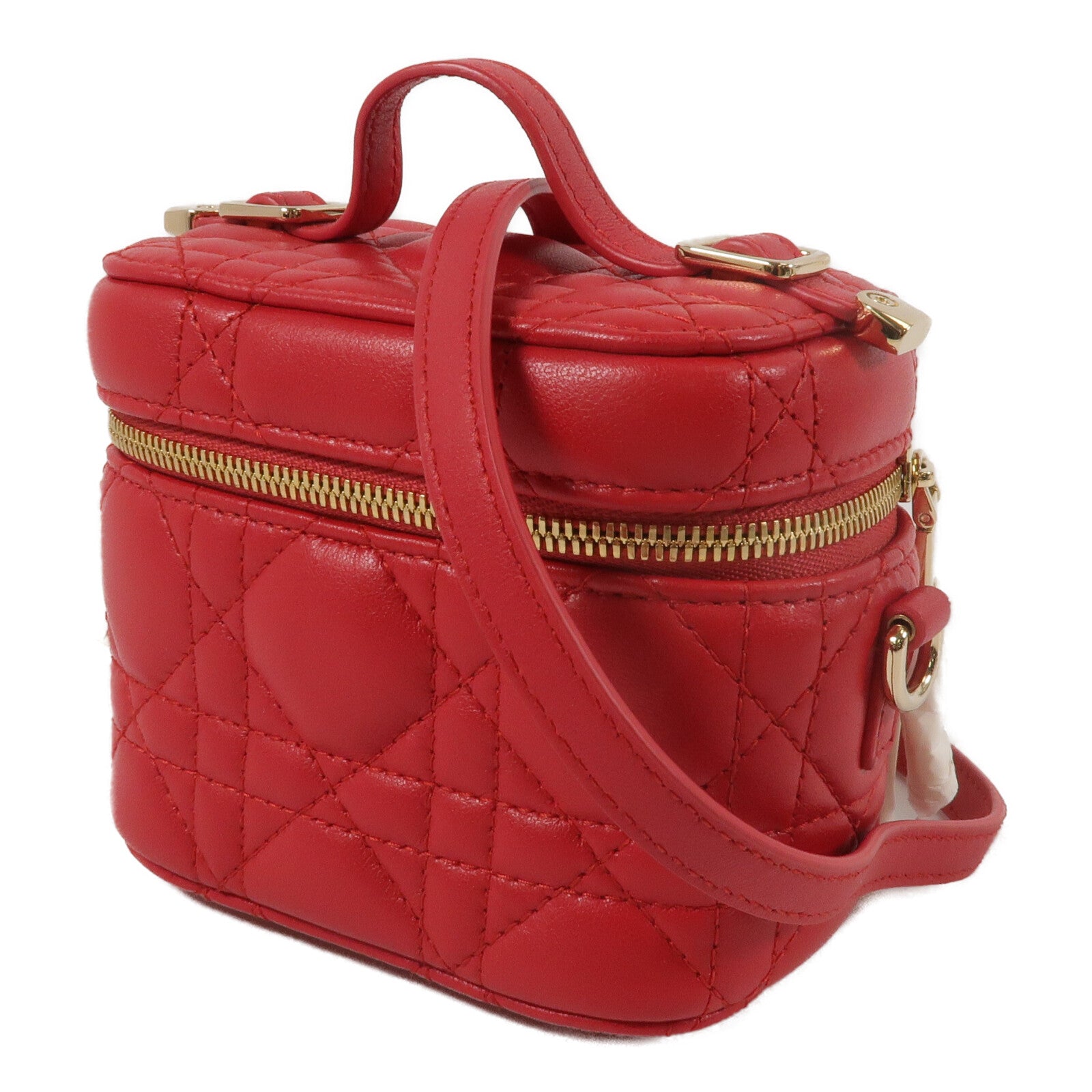 LOUIS VUITTON Vanity 兩用包 羊皮 2