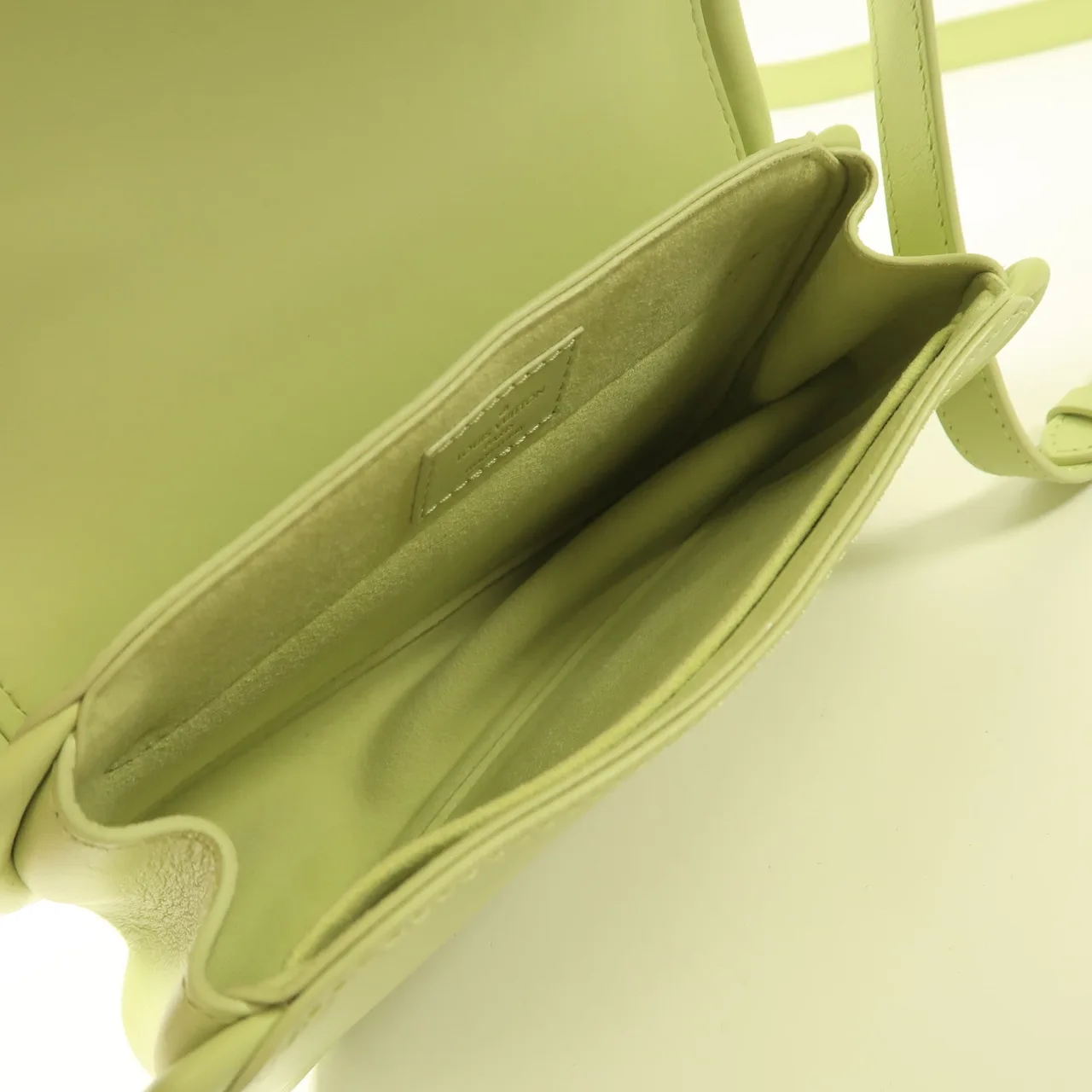 LOUIS VUITTON M22725 兩用包 牛皮 綠色 / Green 牛皮 中古品A - 縮圖 5