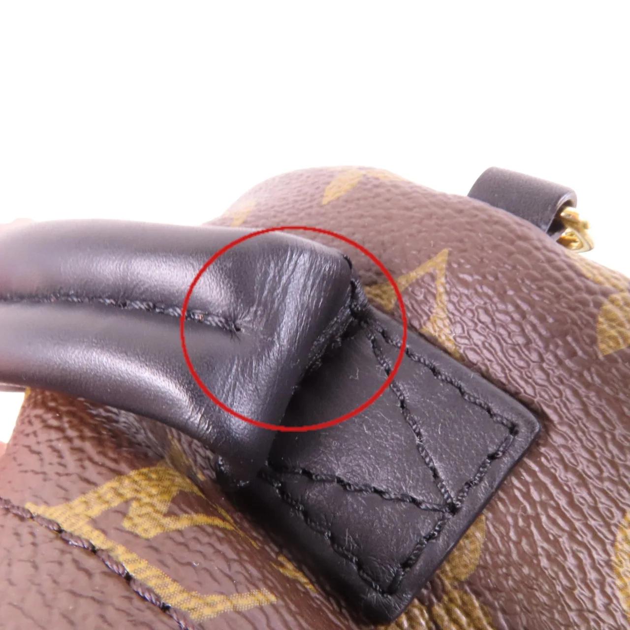 LOUIS VUITTON Palm Springs M41562 背包 塗層帆布 棕色 塗層帆布 中古品A - 縮圖 17