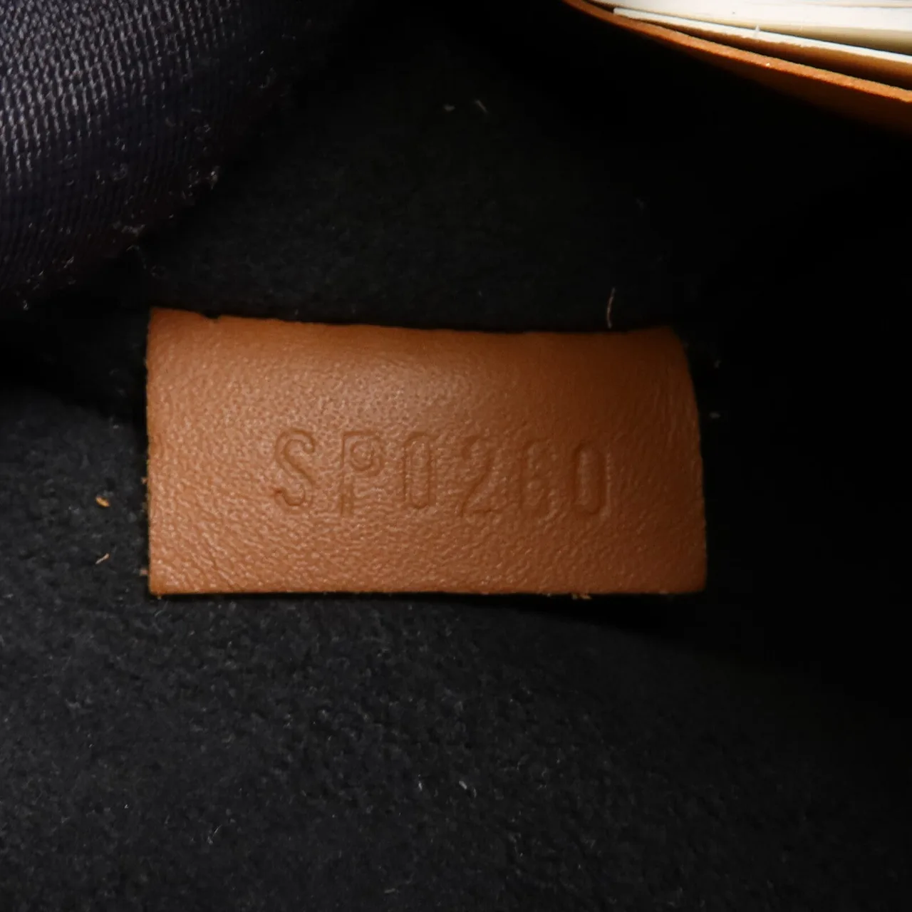 LOUIS VUITTON Dauphine M45142 兩用包 塗層帆布 棕色 / Brown 塗層帆布 中古品A - 縮圖 15