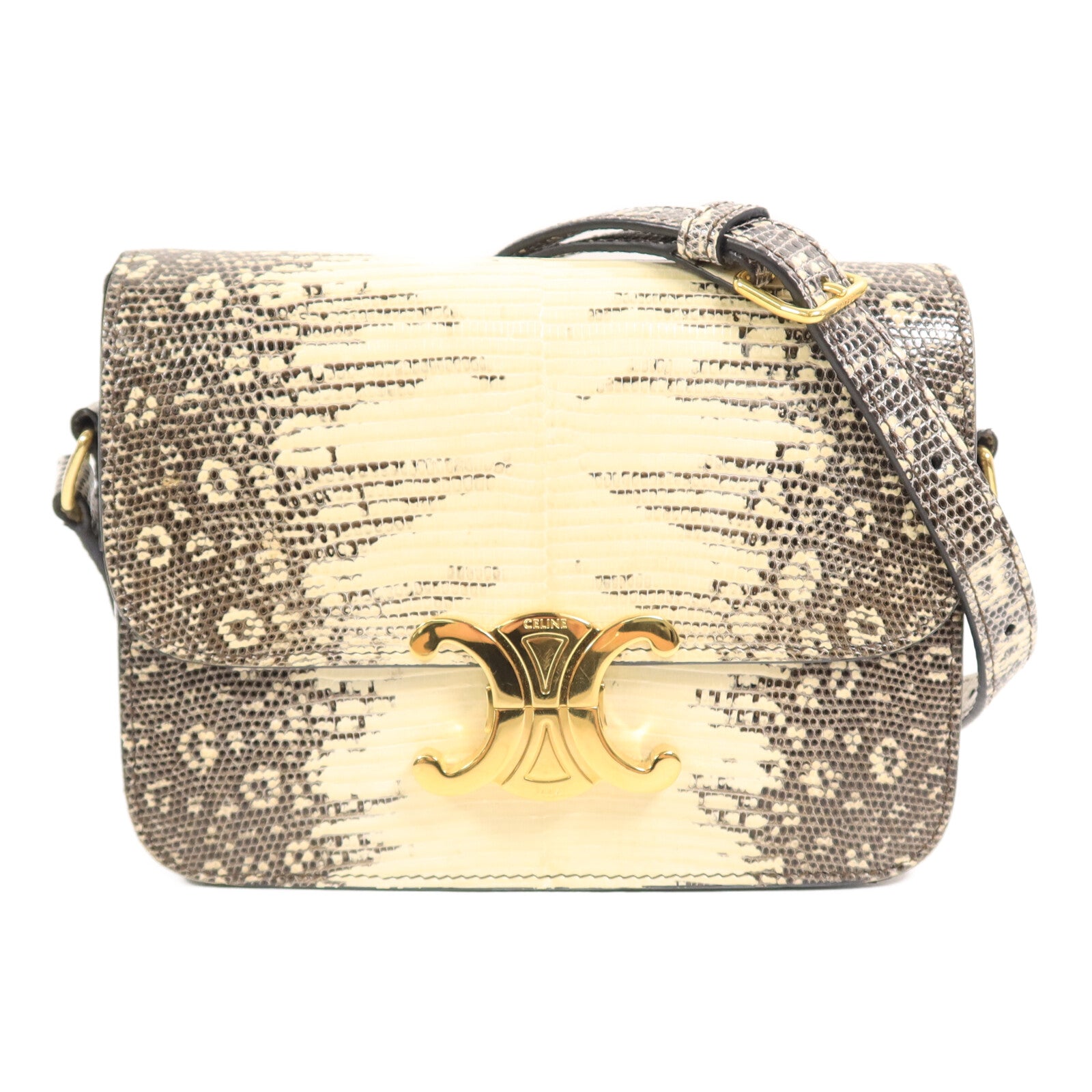 LOUIS VUITTON 肩背包 x Lizard