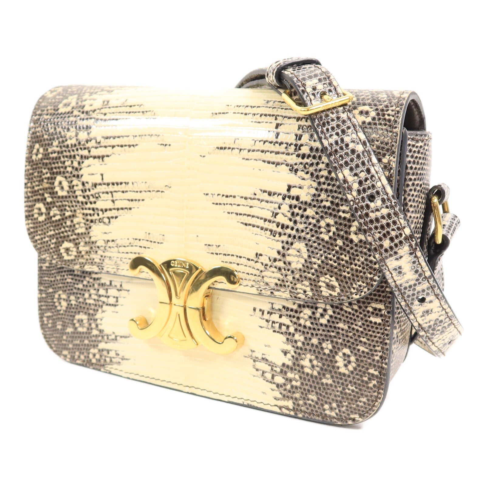 LOUIS VUITTON 肩背包 x Lizard 2