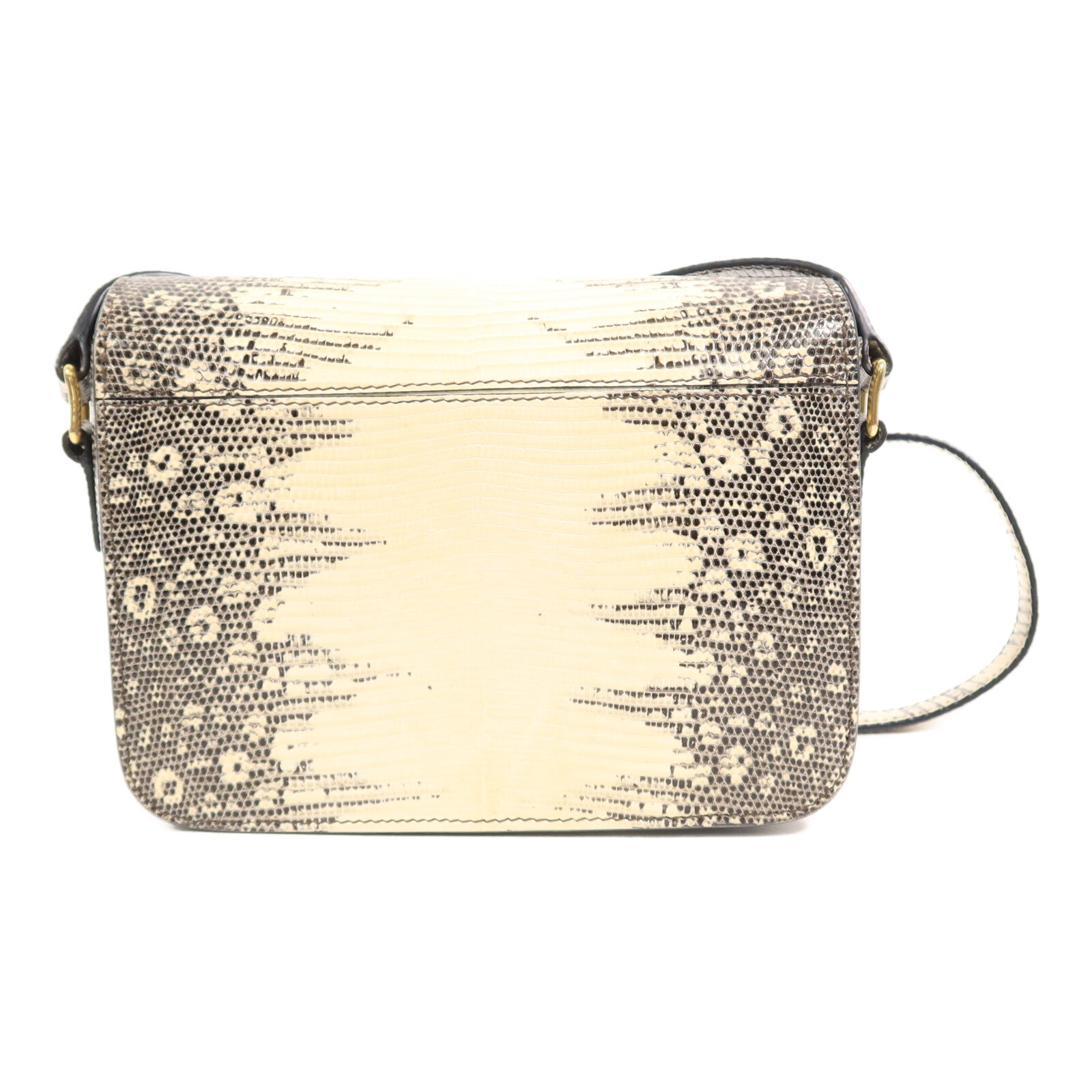 LOUIS VUITTON 肩背包 x Lizard 3