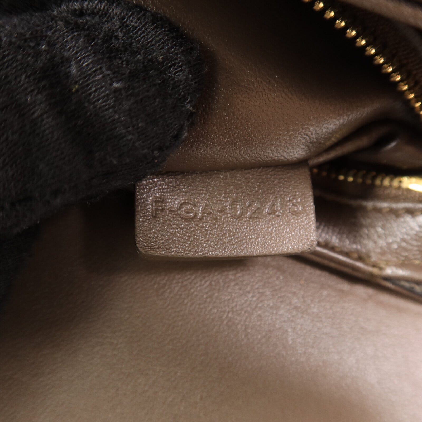 LOUIS VUITTON Shoulder Bag x Lizard 7