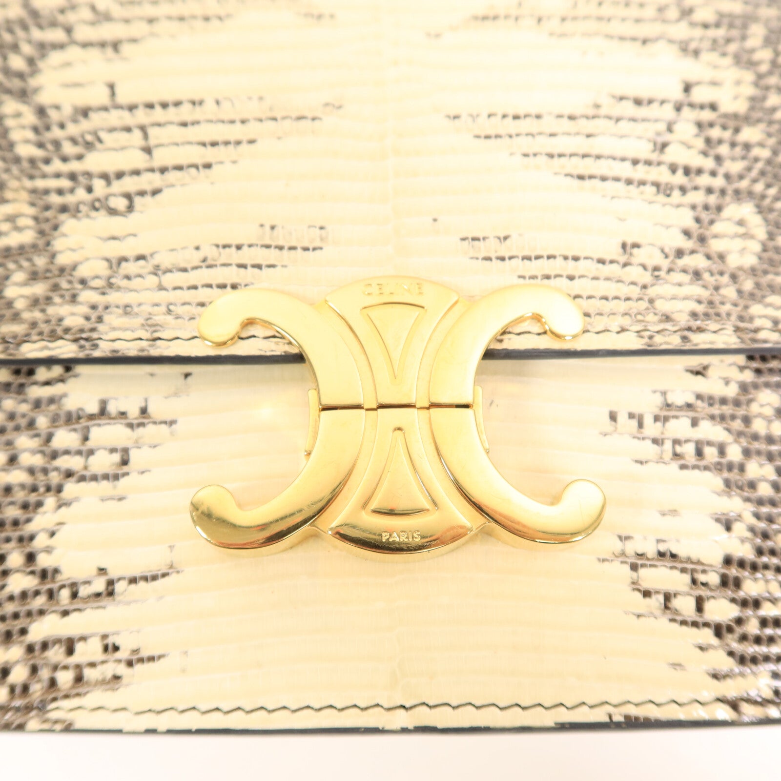 LOUIS VUITTON Shoulder Bag x Lizard 8