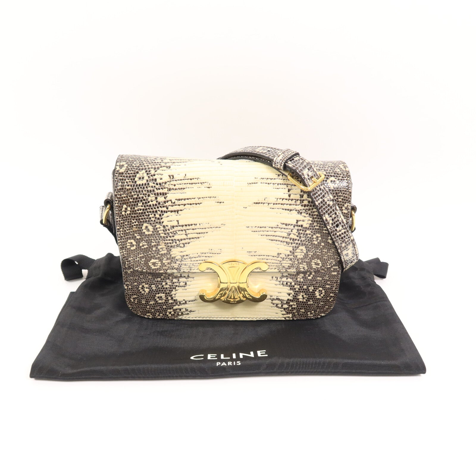 LOUIS VUITTON Shoulder Bag x Lizard 10