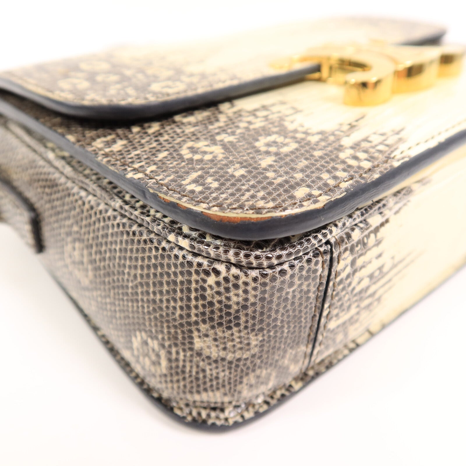 LOUIS VUITTON Shoulder Bag x Lizard 11