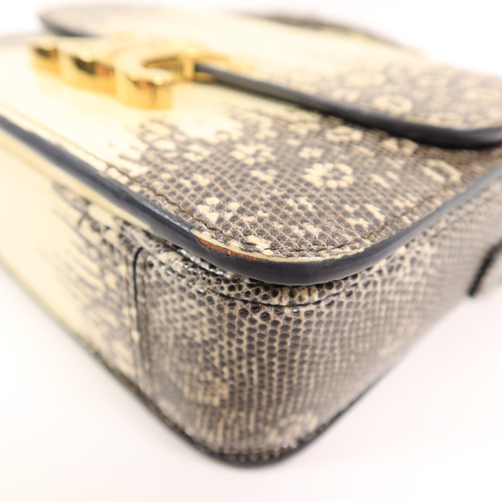 LOUIS VUITTON Shoulder Bag x Lizard 12