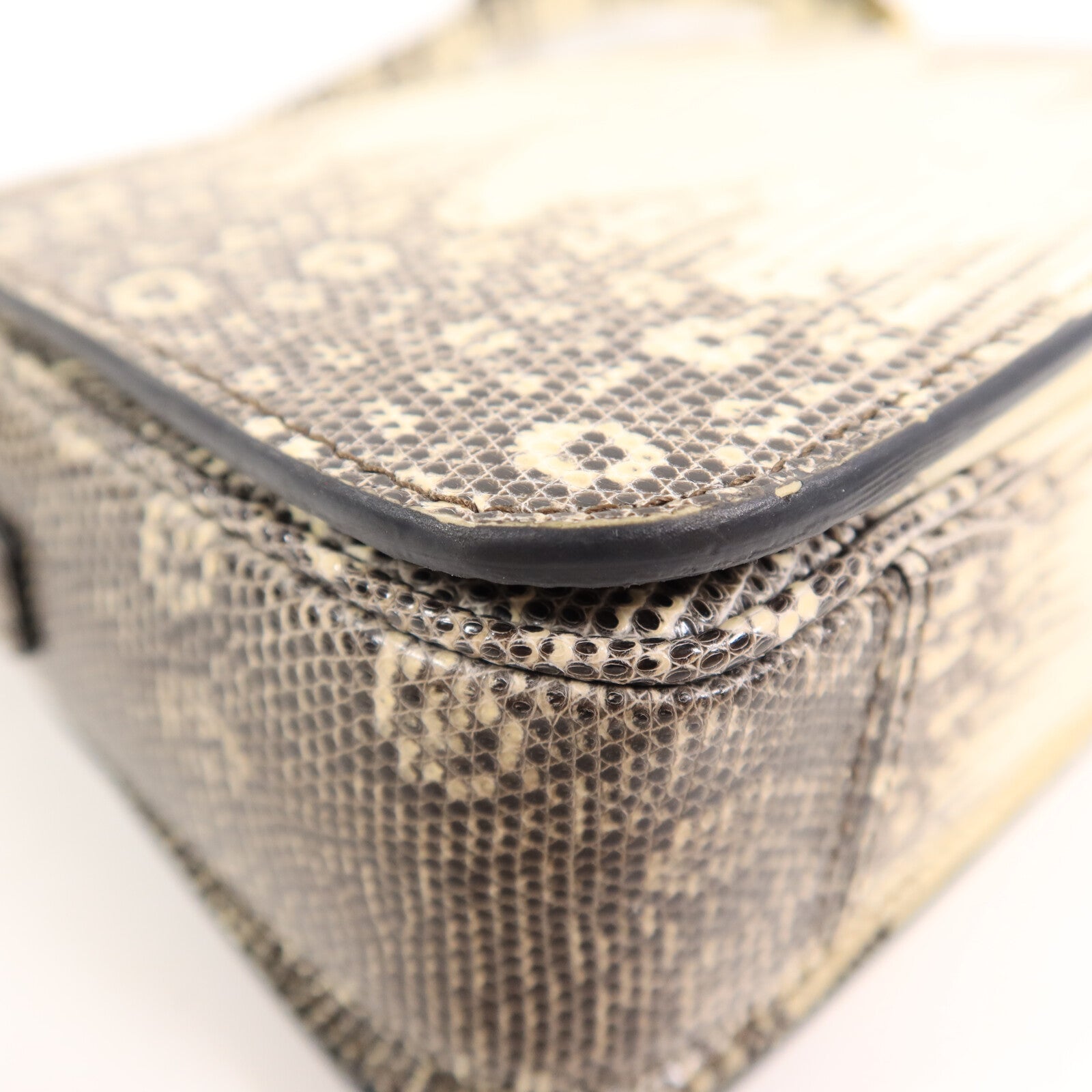 LOUIS VUITTON Shoulder Bag x Lizard 13