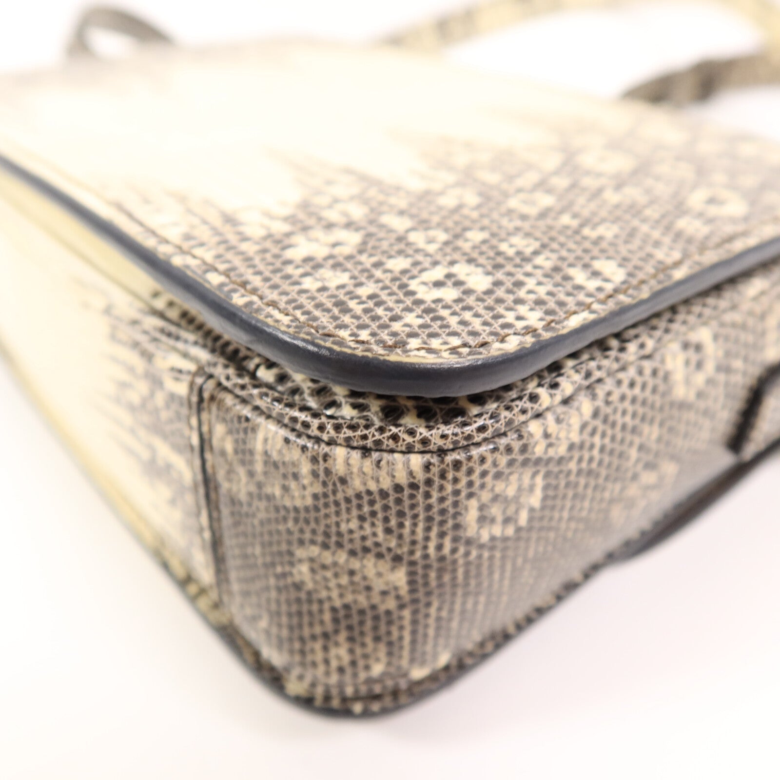 LOUIS VUITTON Shoulder Bag x Lizard 14