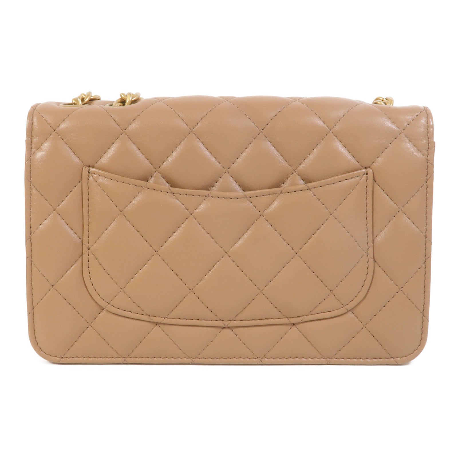 LOUIS VUITTON WOC Shoulder Bag Lambskin 2