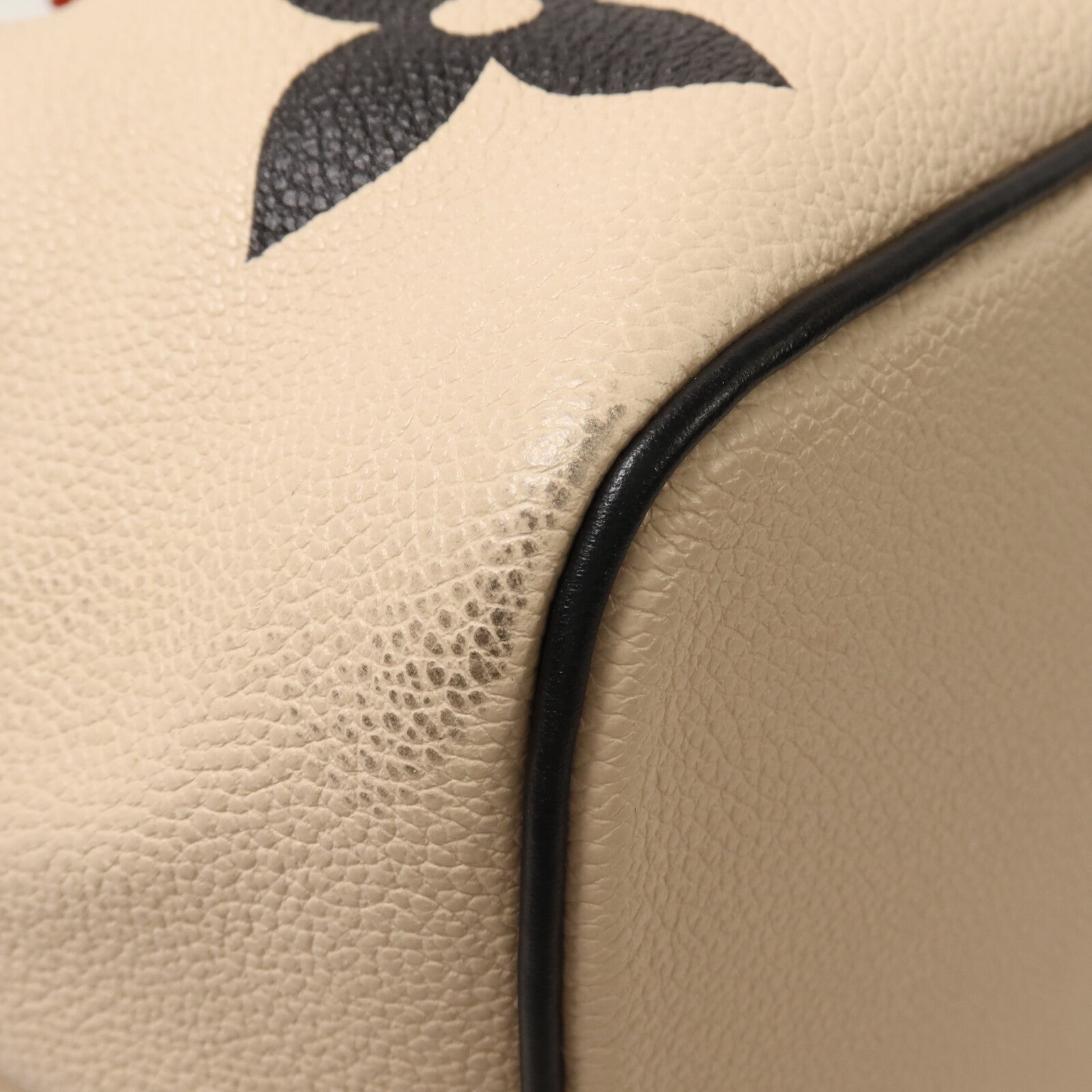 LOUIS VUITTON NeoNoe M56889 2-Way Bag Calfskin 11