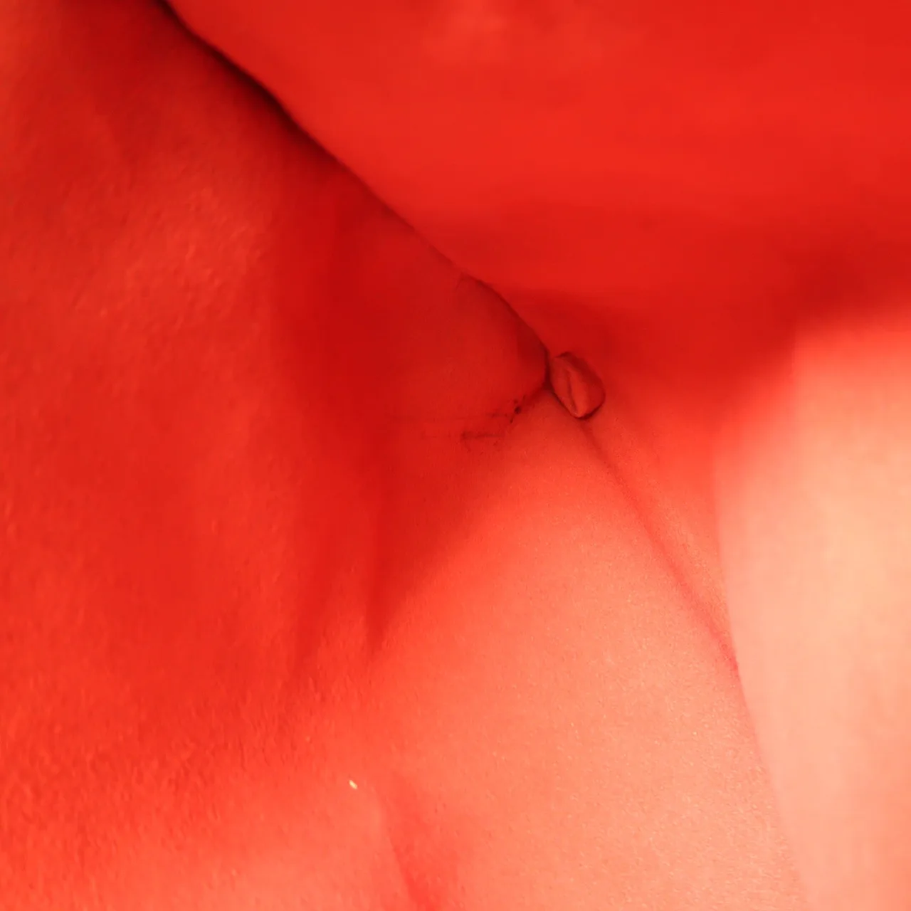 LOUIS VUITTON Saleya N51181 肩背包 塗層帆布 棕色 塗層帆布 中古品C - 縮圖 19