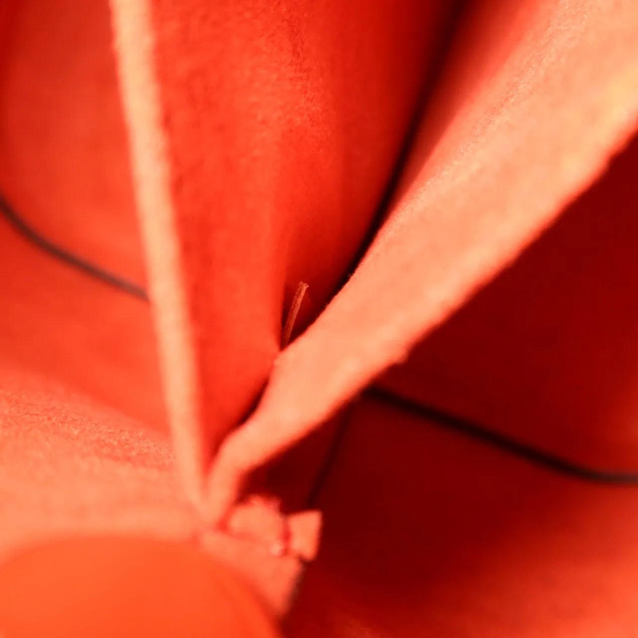 LOUIS VUITTON NeoNoe M53609 2-Way Bag Calfskin 粉色 Calfskin Rank A - Thumbnail 9