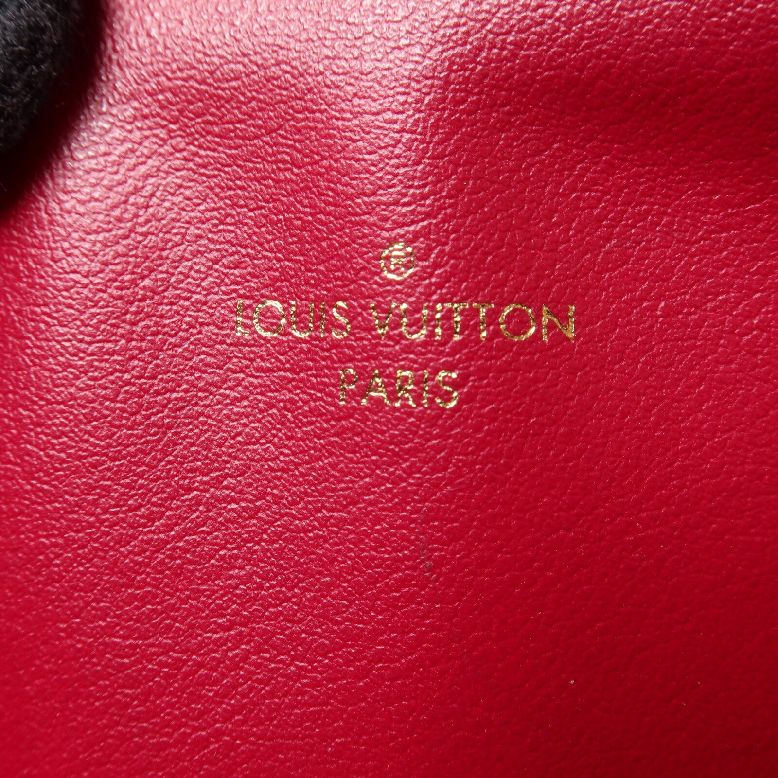LOUIS VUITTON Felicie M81896 Shoulder Bag Coated Canvas 21