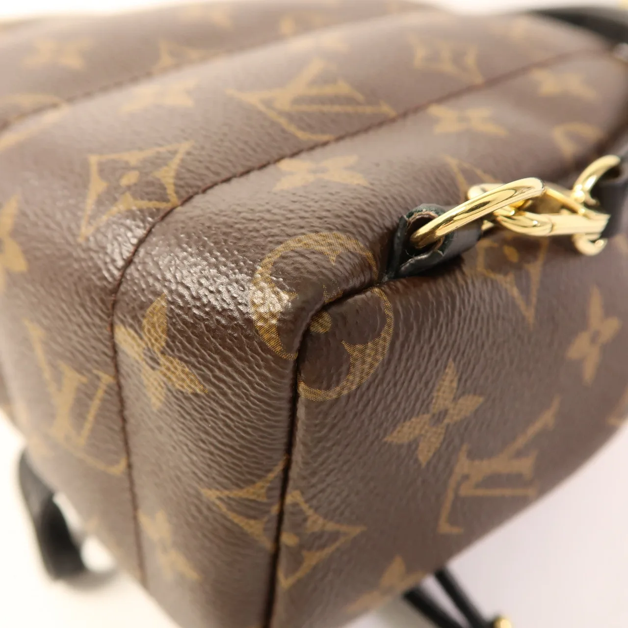 LOUIS VUITTON Palm Springs M44873 背包 塗層帆布 棕色 塗層帆布 中古品A - 縮圖 14