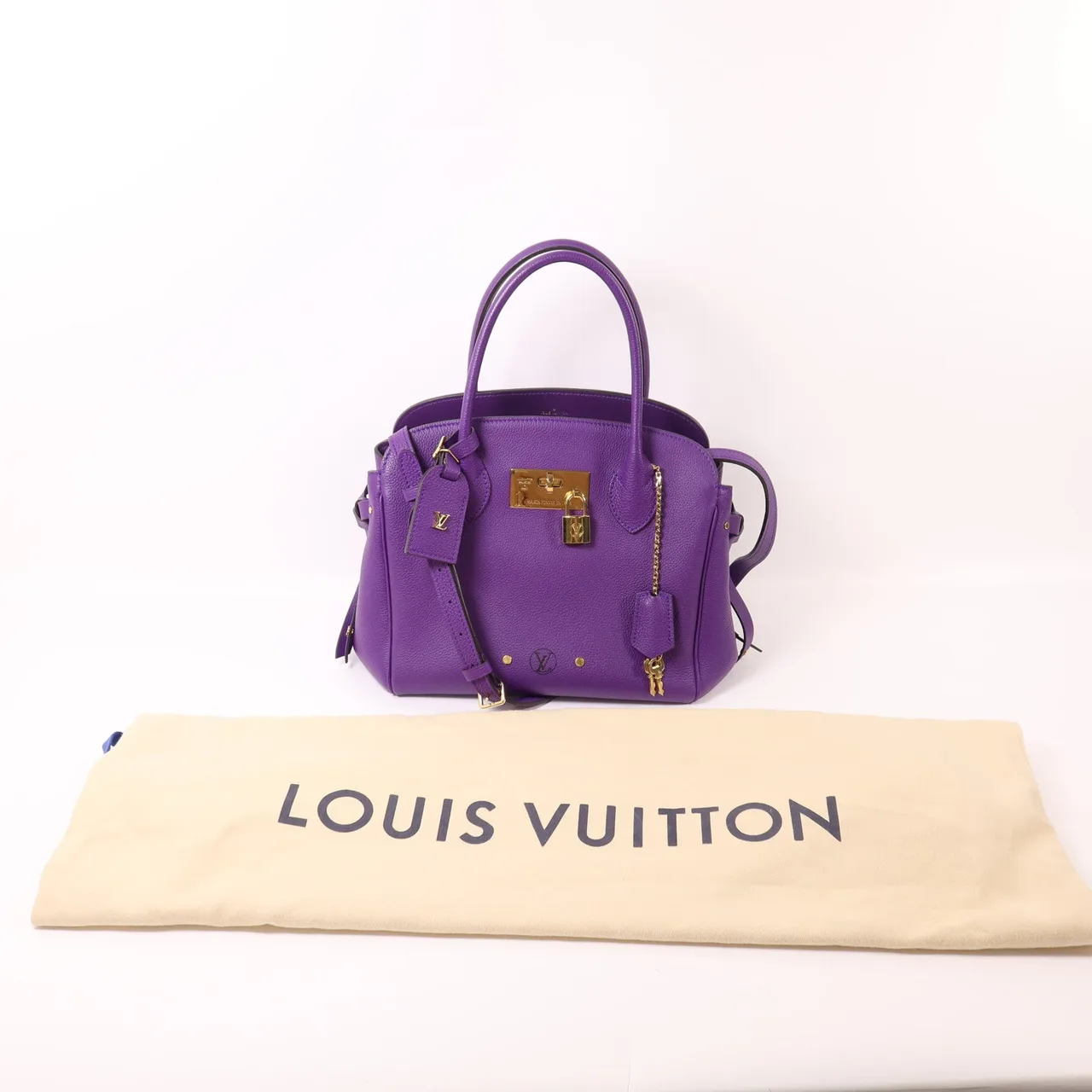 LOUIS VUITTON M55026 2-Way Bag Calfskin 紫色 / Purple Calfskin Rank A - Thumbnail 9