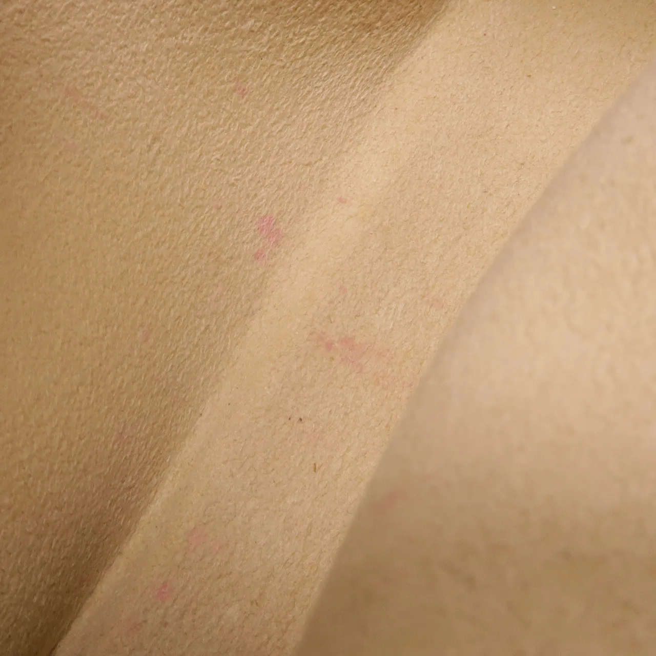 LOUIS VUITTON Pochette Florentine M51855 腰包 塗層帆布 棕色 / Brown 塗層帆布 中古品B - 縮圖 19